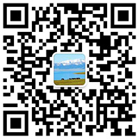 二维码